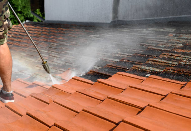 Best Exterior Home Cleaning  in Ambridge, PA