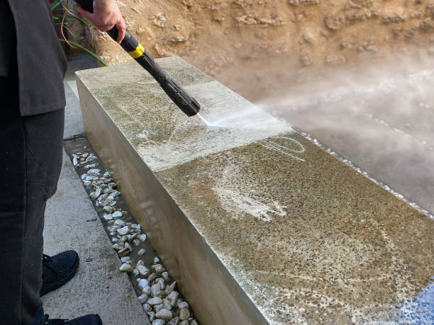 Best Pressure Washing Driveway  in Ambridge, PA