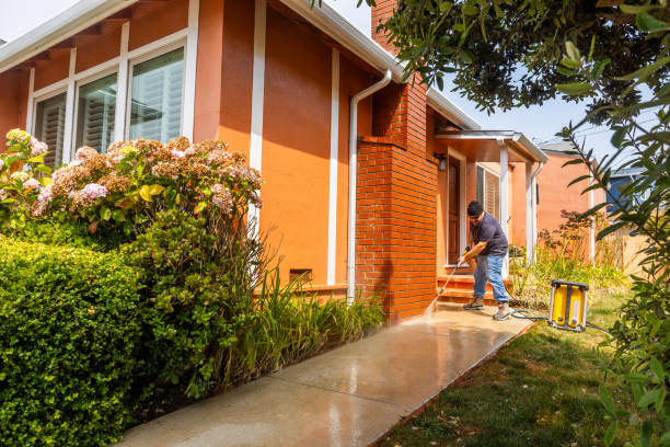 Best Best Pressure Washing Companies  in Ambridge, PA