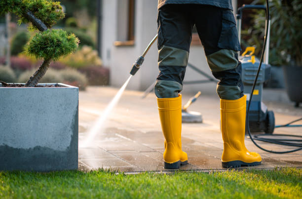Best Pressure Washing Near Me  in Ambridge, PA